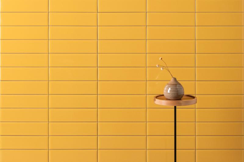 Série Color Mind: monocromática e marcante