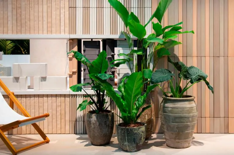 Por que o cimentício nunca sai de moda na decoração