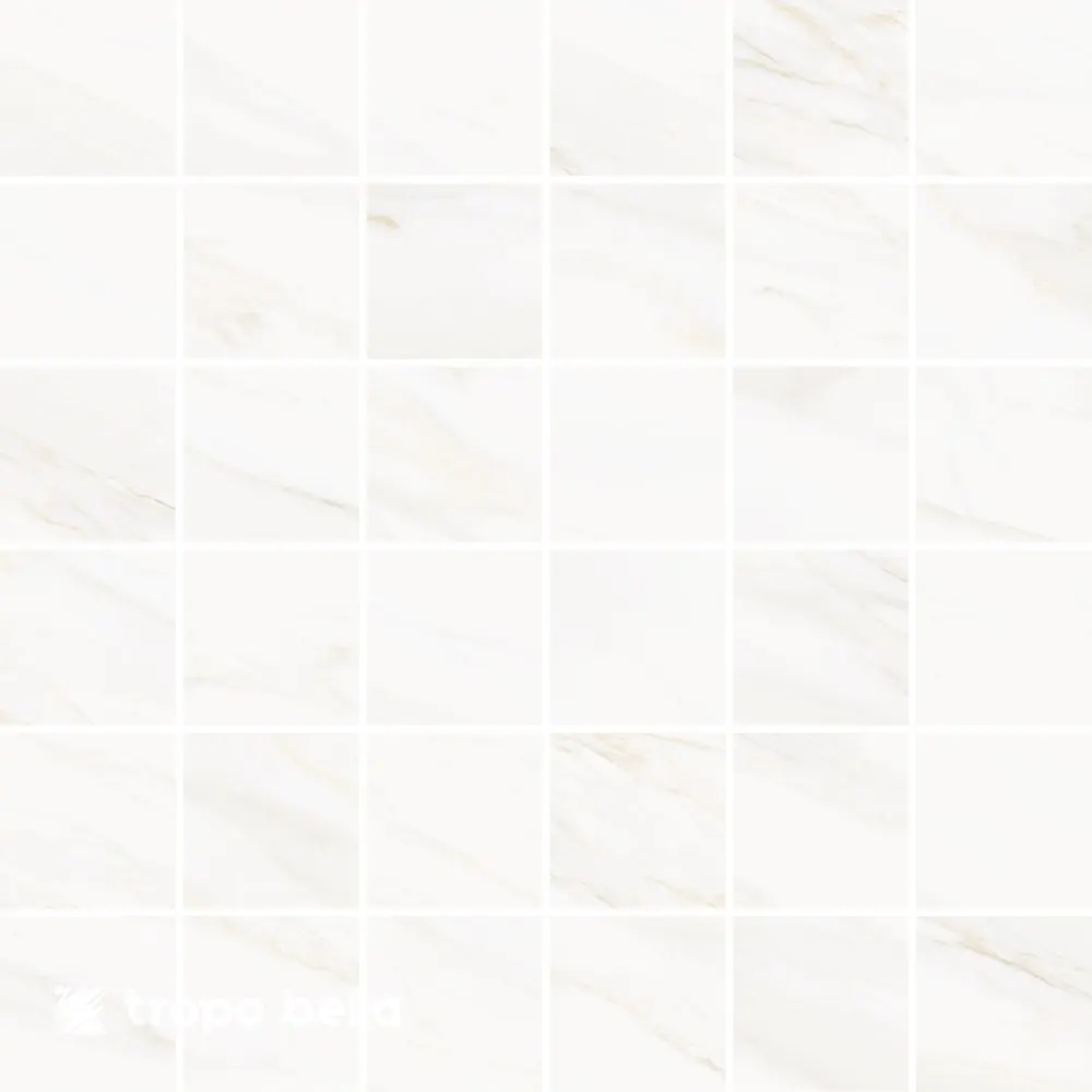 Mosaico Venus Quadra Alpe Polido 30x30 Eliane
