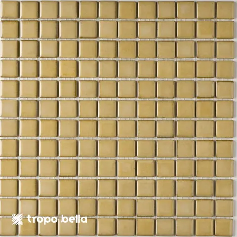 Pastilha Esmaltada Argila SG-8429 2,5x2,5 Atlas