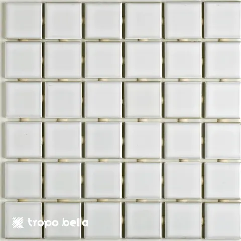 Pastilha Esmaltada Camburi SG-8450 5x5 Atlas