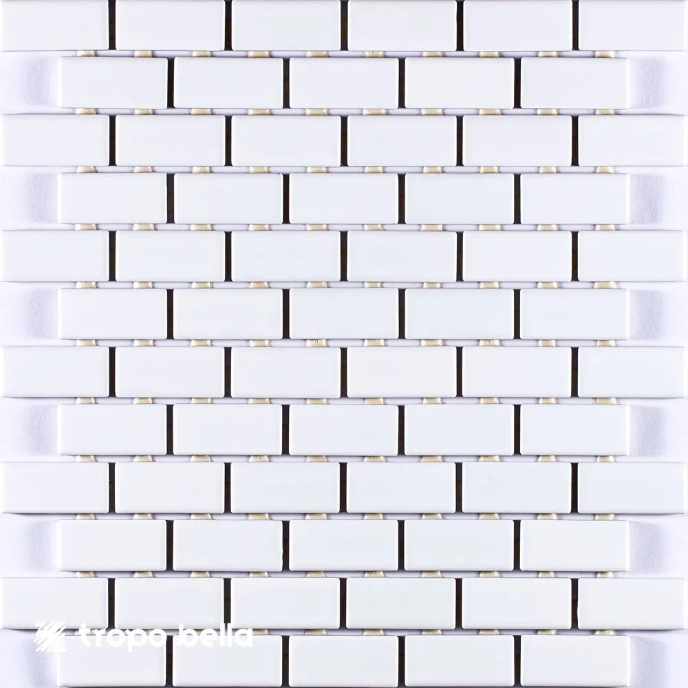Pastilha Esmaltada (ja) Artico M-6249 2,5x5 Atlas