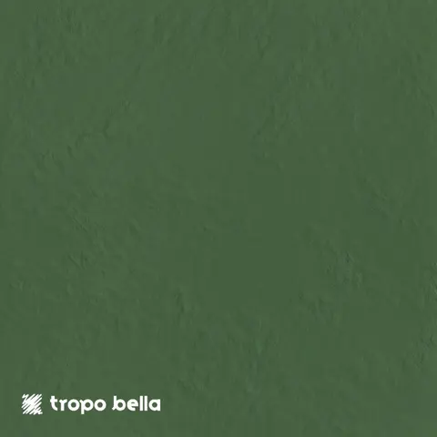 Linha Amazônia