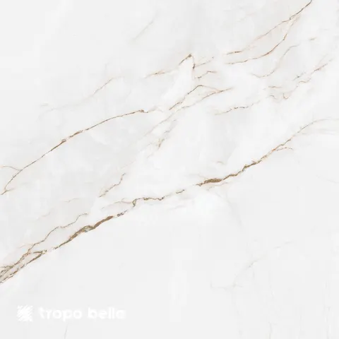 Porcelanato Branco Parana Polido 60x60 Retificado Elizabeth