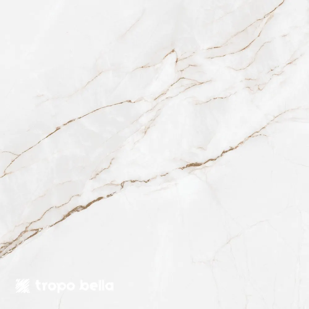 Porcelanato Branco Parana Polido 60x60 Retificado Elizabeth