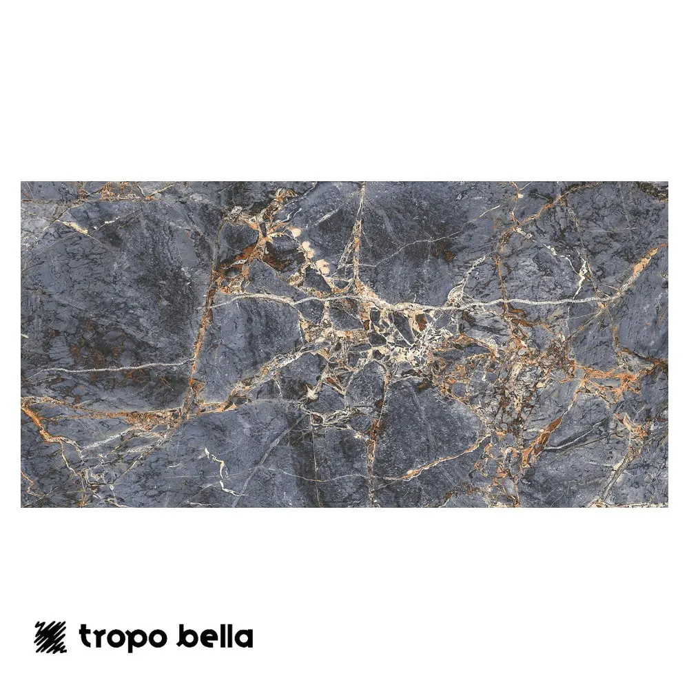Porcelanato Maxiblue Polido 60x120 Retificado Elizabeth