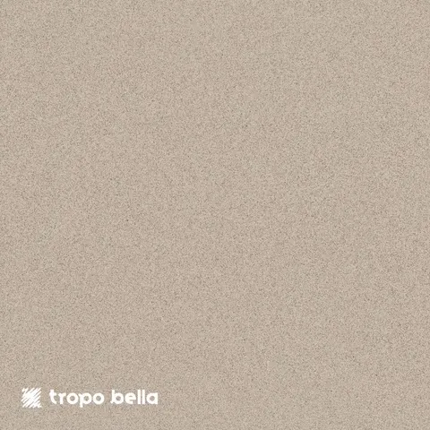 Porcelanato Micron Bege Resistente ao Ácido 60x60 Retificado Eliane