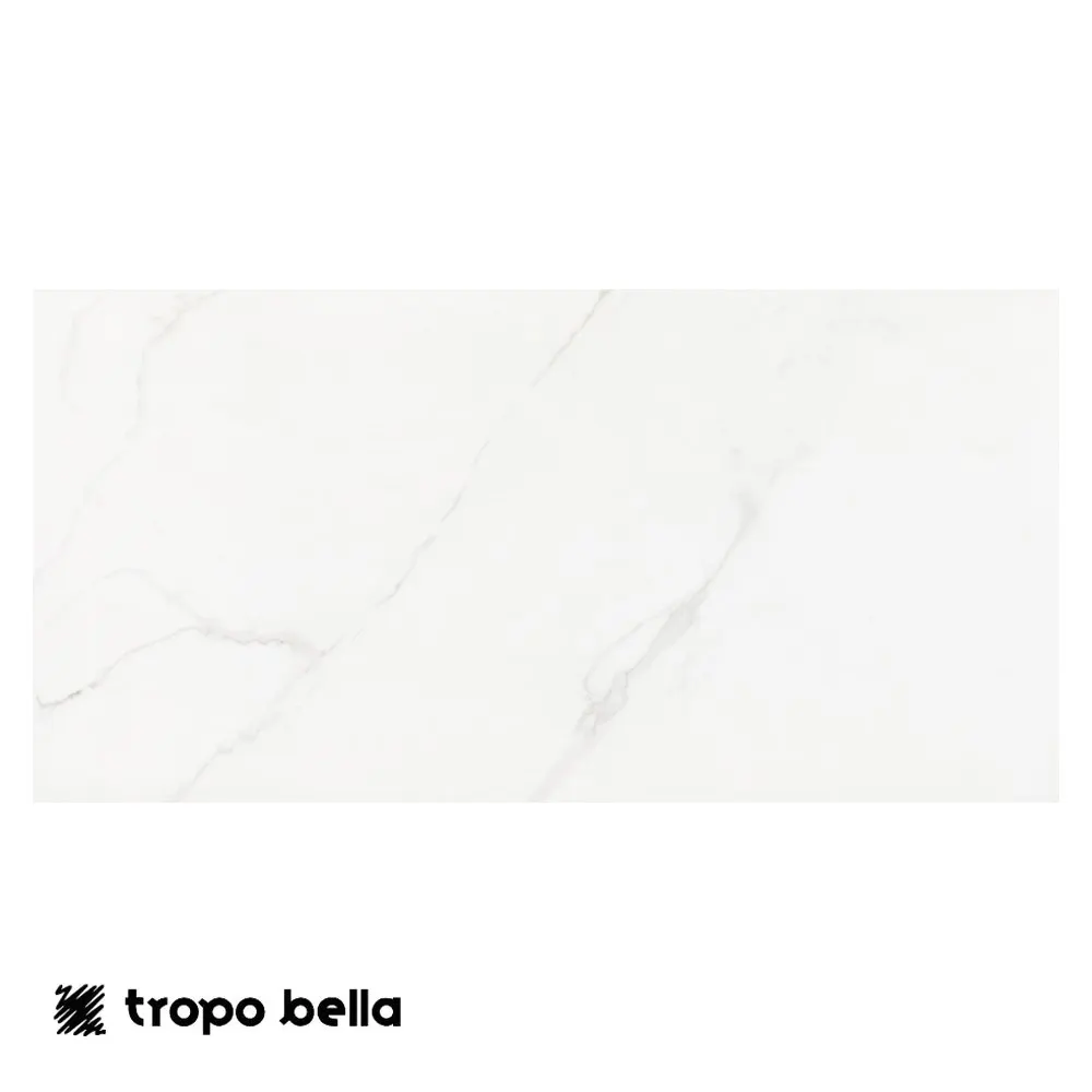 Porcelanato Mont Blanc Polido 60x120 Retificado Eliane