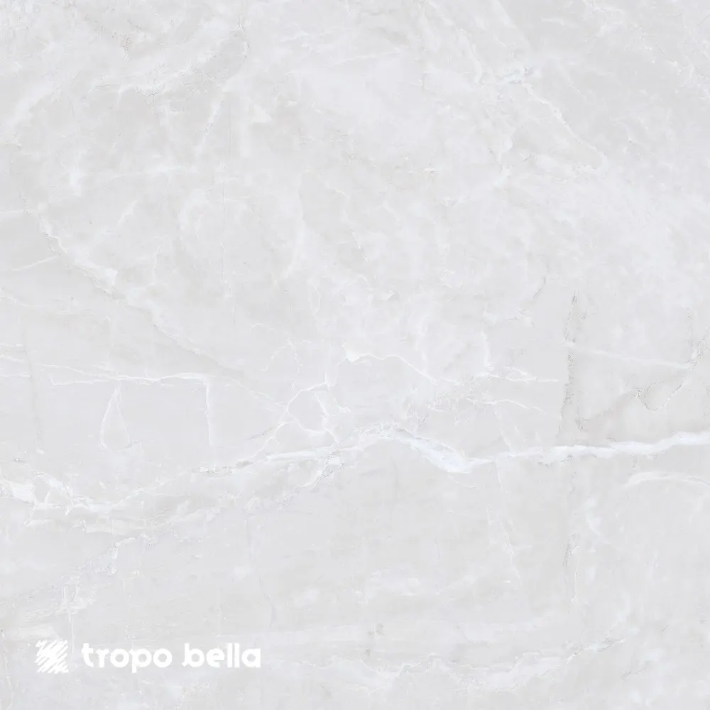Porcelanato Mont Blanc Polido 84x84 Retificado Elizabeth