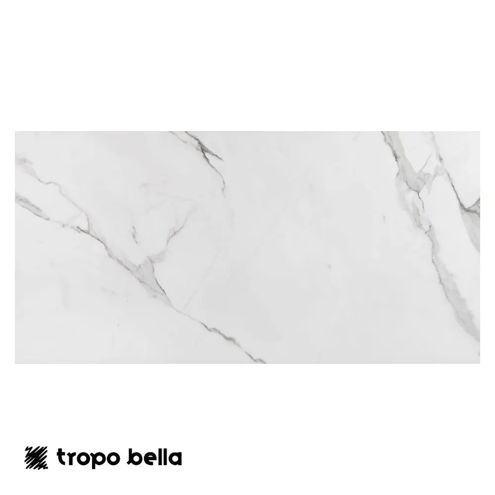 Porcelanato Place Polido 60x120 Retificado Eliane