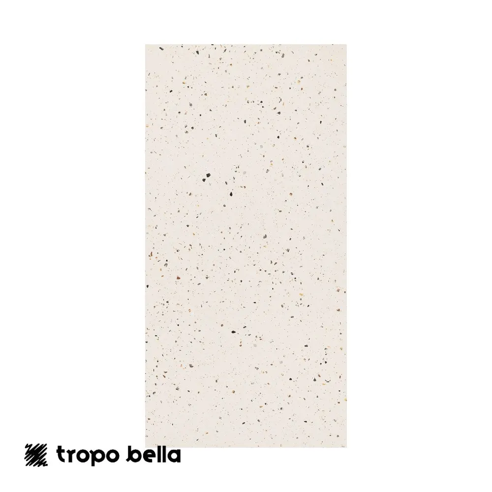 Porcelanato Silex Branco Polido 60x120 Retificado Eliane