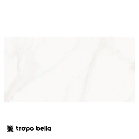 Porcelanato Venus Alpe Polido 30x60 Retificado Eliane