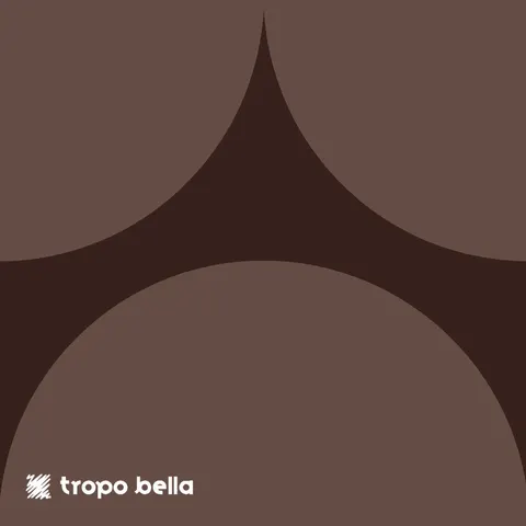 Revestimento Carol Gay Bola Capuccino Acetinado 19x19 Decortiles