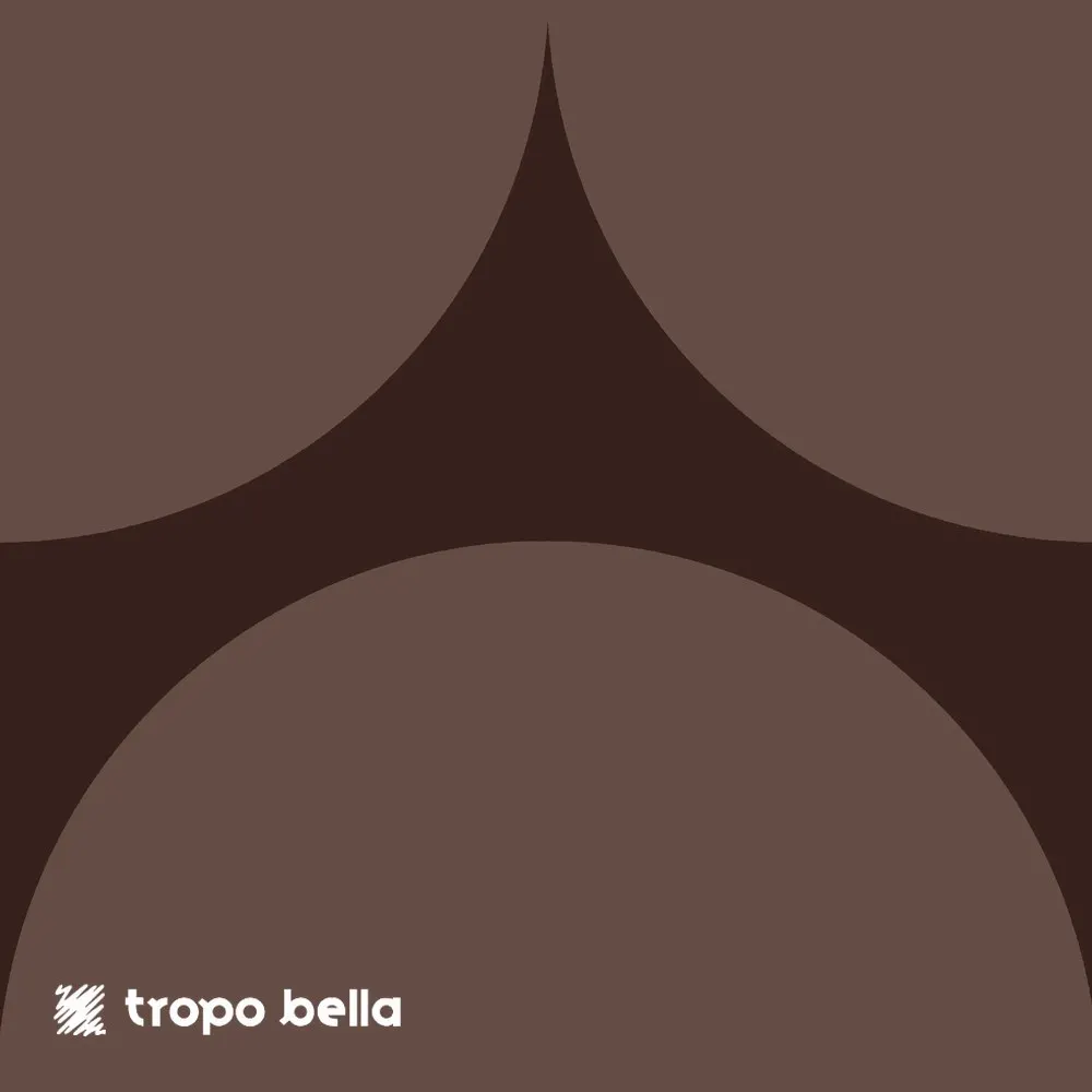 Revestimento Carol Gay Bola Capuccino Acetinado 19x19 Decortiles
