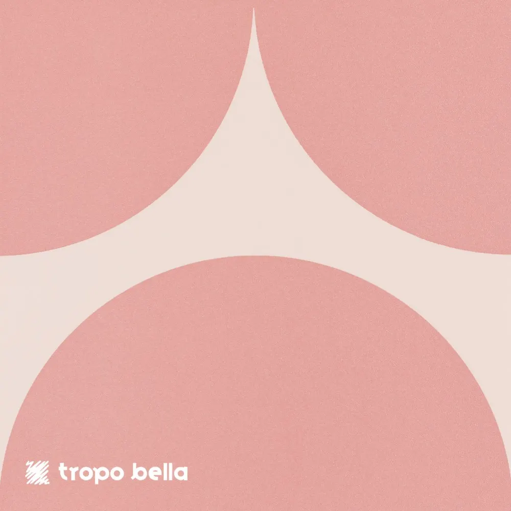 Revestimento Carol Gay Bola Flamingo Acetinado 19x19 Decortiles