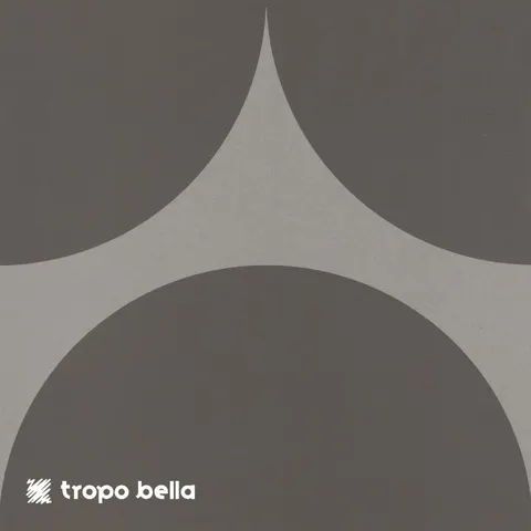 Revestimento Carol Gay Bola Nimbo Acetinado 19x19 Decortiles