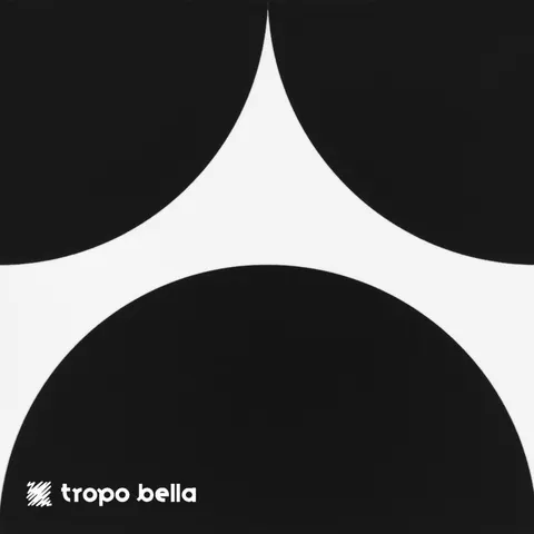 Revestimento Carol Gay Bola Noite Acetinado 19x19 Decortiles