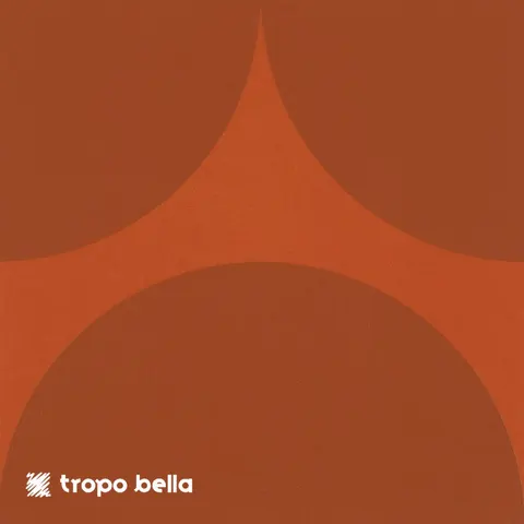 Revestimento Carol Gay Bola Tara Acetinado 19x19 Decortiles
