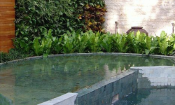 Benefícios da Pedra Hijau para revestimento de piscinas